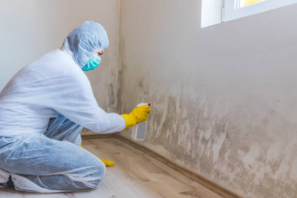 Mold inspector in Metuchen performing thermal imaging