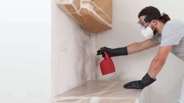 Attic Mold Remediation treatment on roof deck in Metuchen